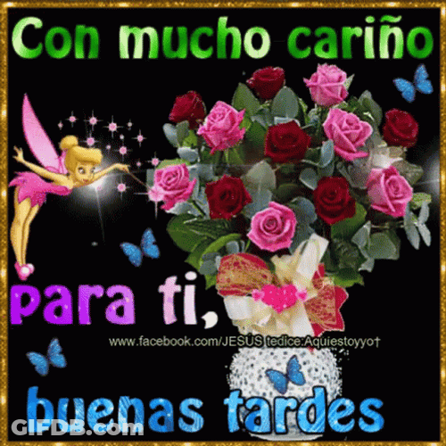 Feliz Tarde De Domingo GIF