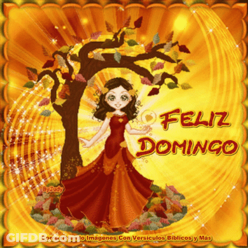 Feliz Tarde De Domingo GIF