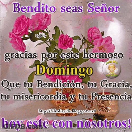 Feliz Tarde De Domingo GIF