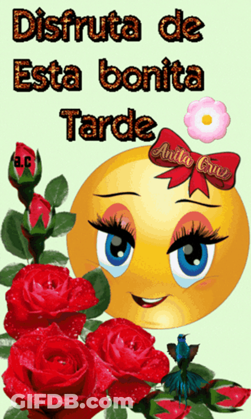Feliz Tarde De Domingo GIF