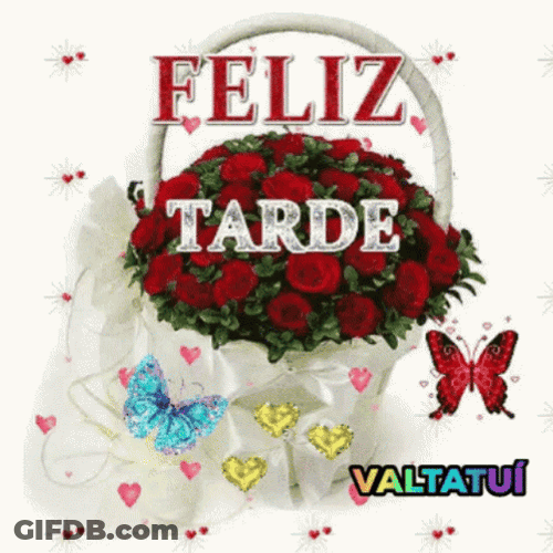 Feliz Tarde De Domingo GIF