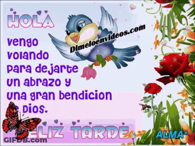 Feliz Tarde De Domingo GIF