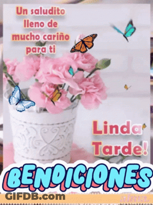 Feliz Tarde De Domingo GIF