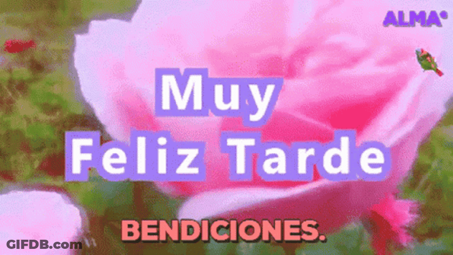 Feliz Tarde GIF