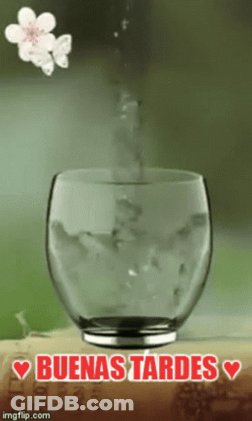 Feliz Tarde GIF