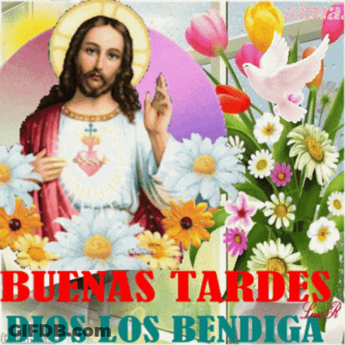 Feliz Tarde GIF