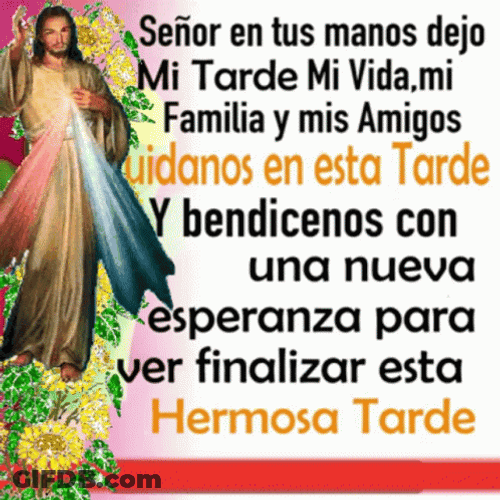 Feliz Tarde GIF