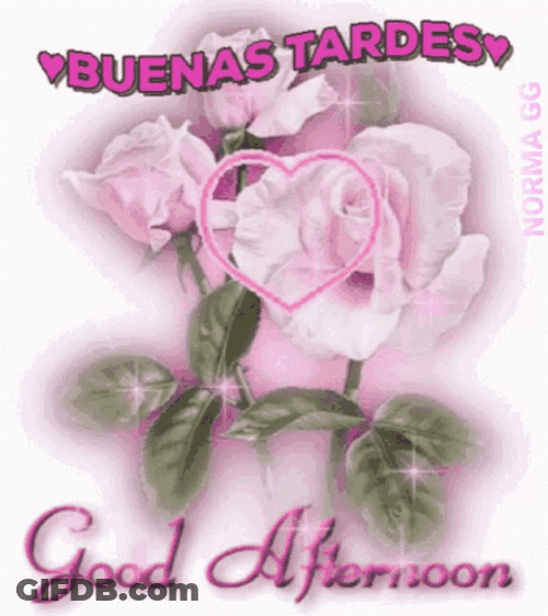 Feliz Tarde GIF