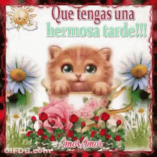 Feliz Tarde GIF