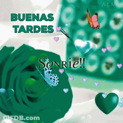 Feliz Tarde GIF