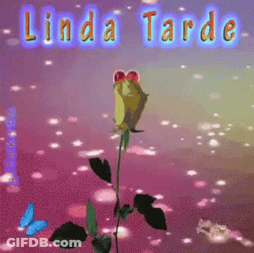 Feliz Tarde GIF