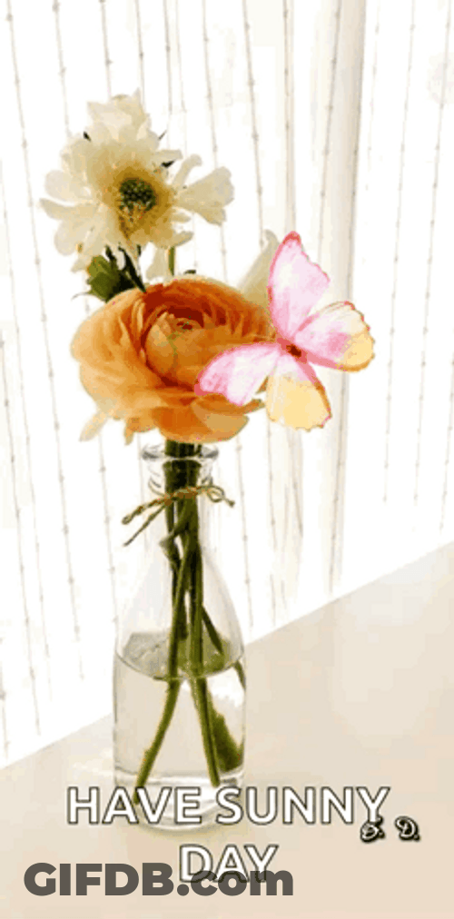Feliz Tarde GIF
