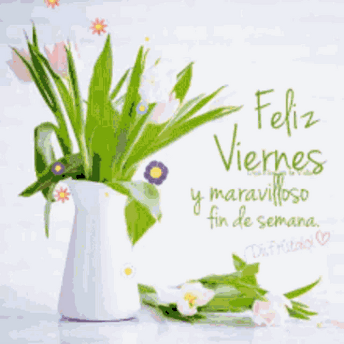 Feliz Viernes Aloe Vera Plant GIF