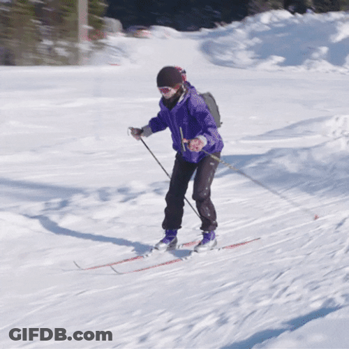 Fell On The Ski Memes GIF