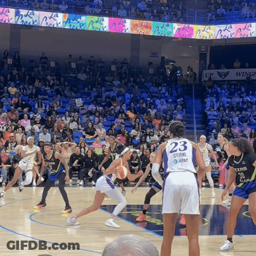 Female Basketball Player Number 23 GIF