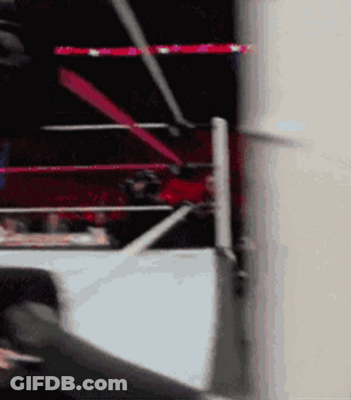 Female Wrestler Take A Bow GIF