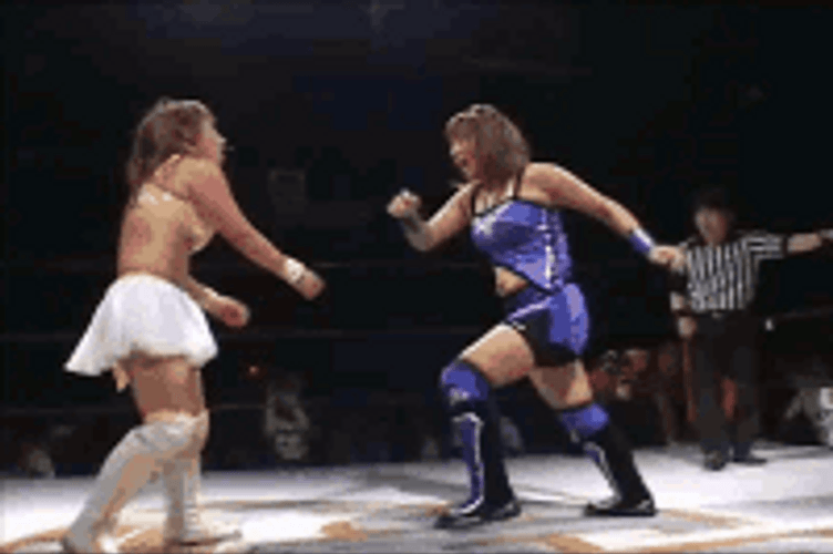 Female Wrestling Match GIF