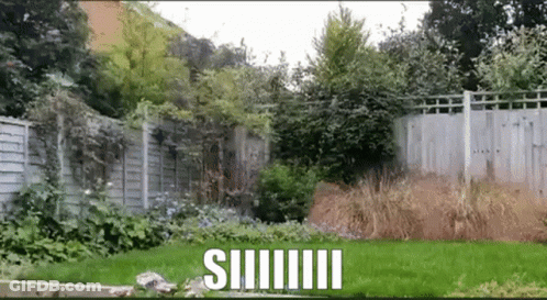 Fenced Yard With Siiiiii GIF