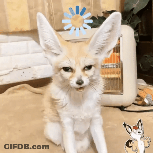 Fennec Fox Blank Stare Loading Icon GIF