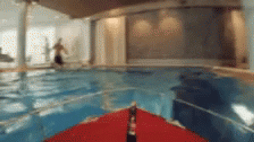 Ferret On A Boat GIF