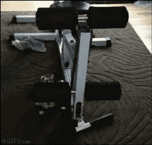 Ferret Working Out GIF
