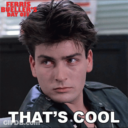 Ferris Bueller's Day Off Poster Cool GIF