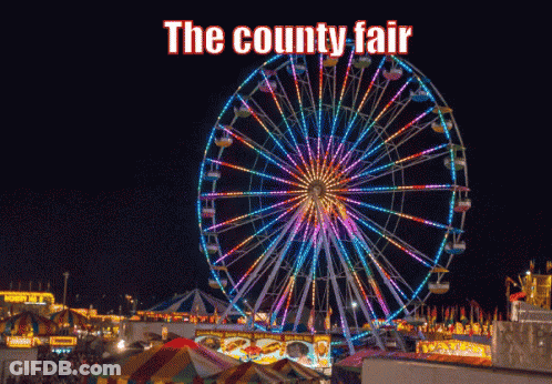 Ferris Wheel Saying The County Fair GIF
