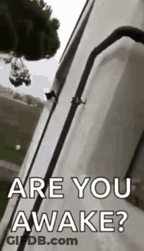Ferris Wheel With Are You Awake GIF