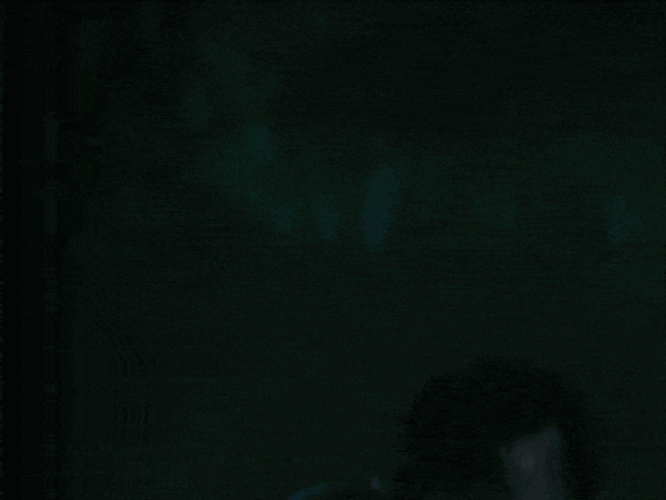 Festthefestivefest Joe Goldberg GIF