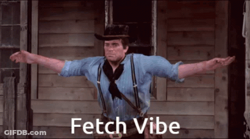 Fetch Vibe Fetch Check GIF