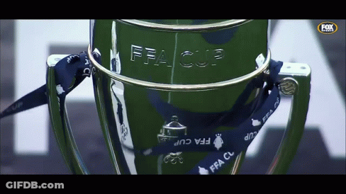 FFA Cup Trophy With Blue Ribbon GIF