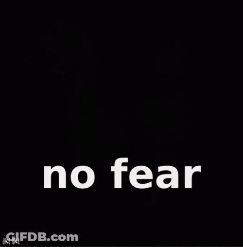 FFXIV No Fear One Fear Chocobo GIF