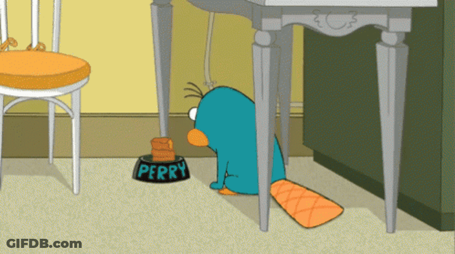 Fictional Character Perry The Platypus Drooling GIF