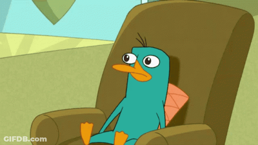 Fictional Character Perry The Platypus Wearing Its Hat GIF