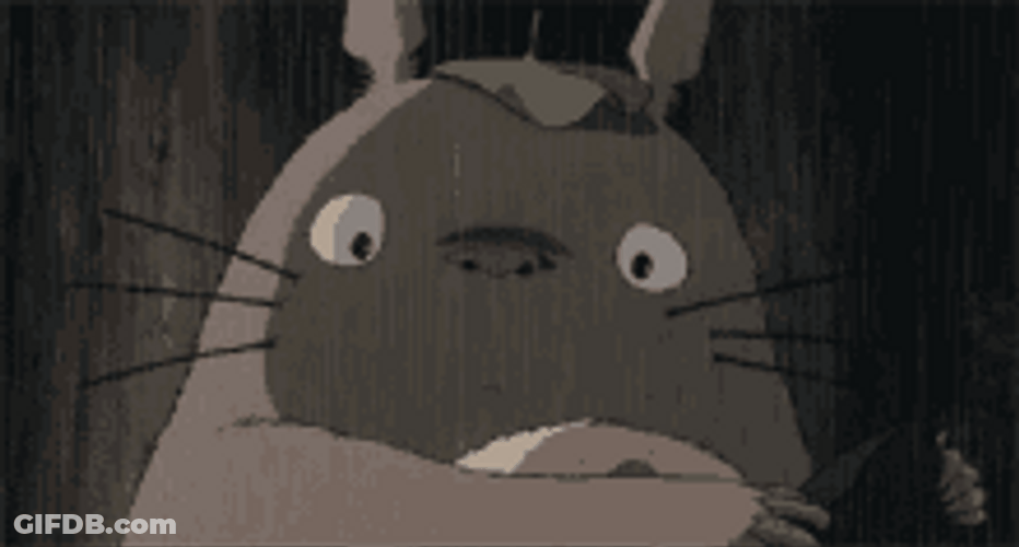 Fictional Character Totoro Blinking Eyes Reaction GIF