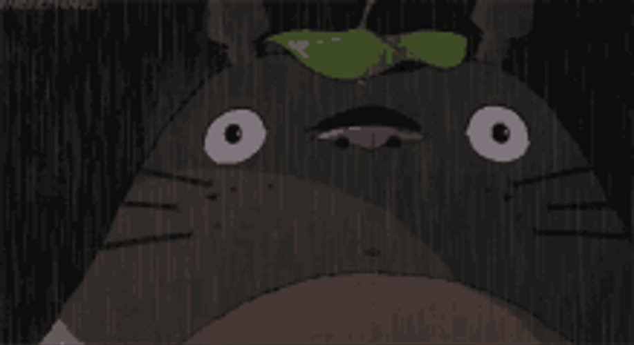 Fictional Character Totoro Dilated Eyes GIF