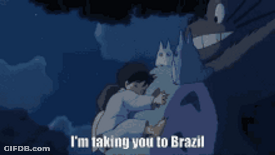 Fictional Character Totoro I'm Taking You To Brazil GIF