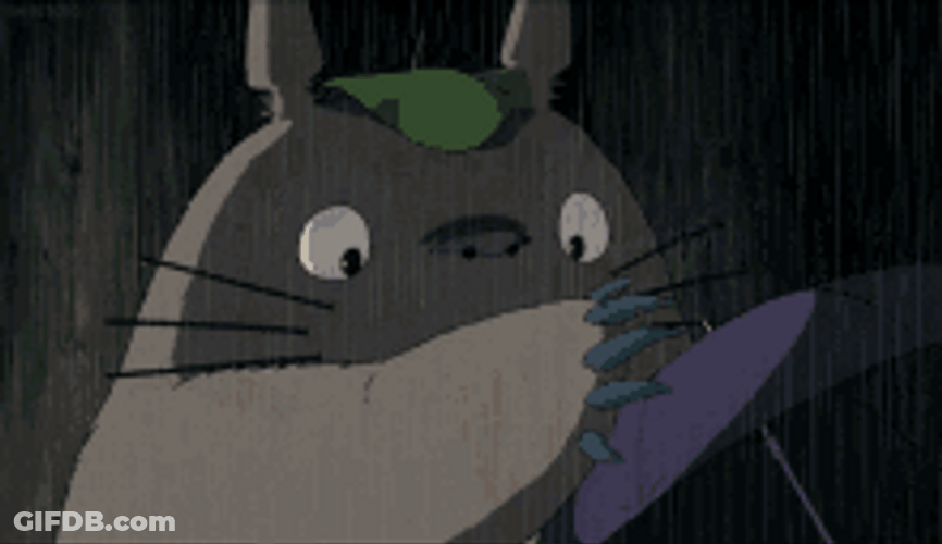 Fictional Character Totoro Opening Its Umbrella GIF
