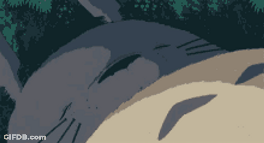 Fictional Character Totoro Sleeping GIF