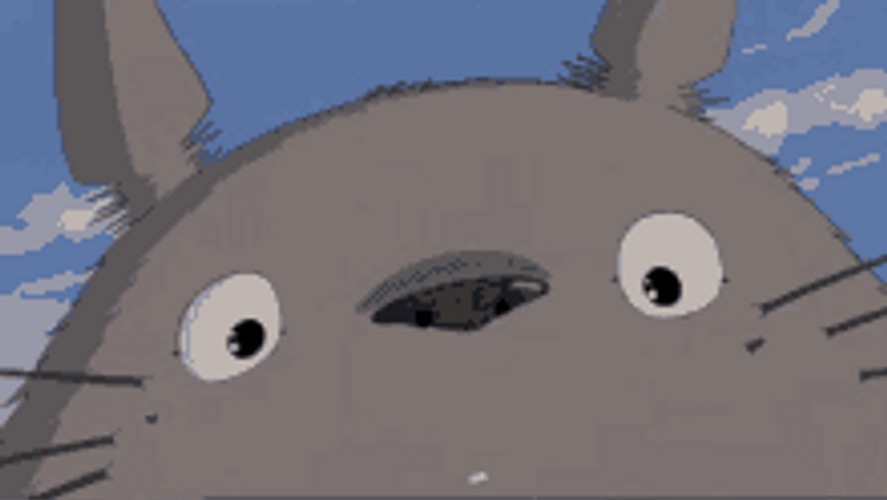 Fictional Character Totoro Smile GIF