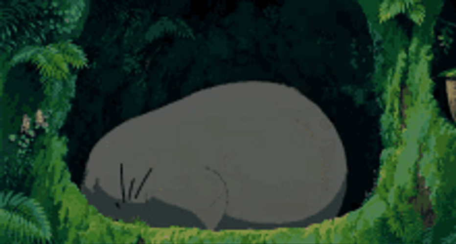 Fictional Character Totoro Turned GIF