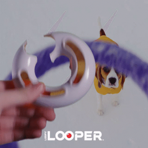 Fidget Toy Loopy Looper Dog GIF