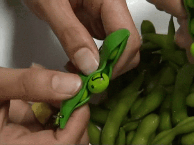 Fidget Toy Pea Popper Squeeze GIF