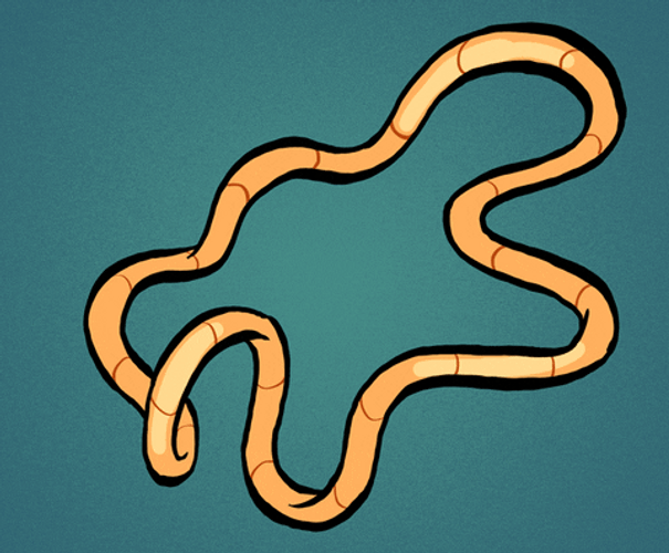 Fidget Toy Tangle String Illustration GIF