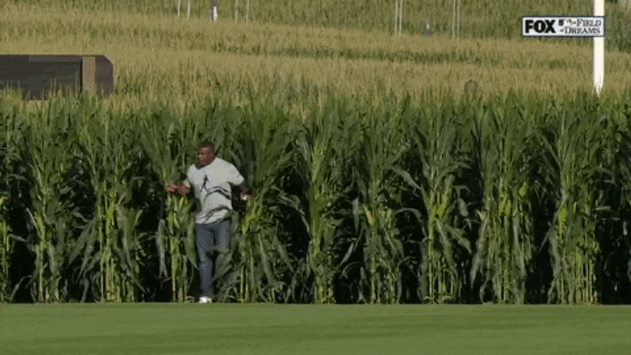 Field Of Dreams Baseball Field GIF