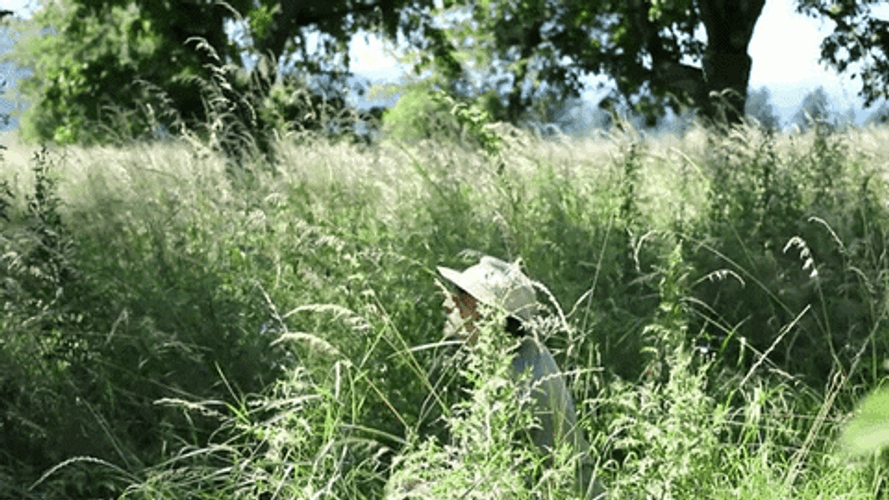 Field Of Dreams Hey Look GIF