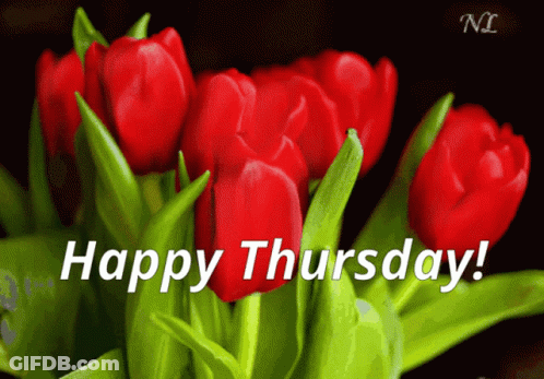 Field Of Flowers Saying Happy Thursday GIF
