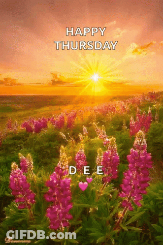 Field Of Flowers Saying Happy Thursday GIF