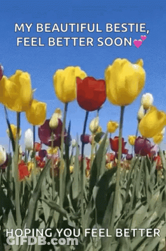 Field Of Flowers Saying My Beautiful Bestie Feel Better Soon GIF