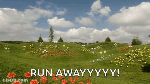 Field Of Flowers Saying Run Away YYY GIF
